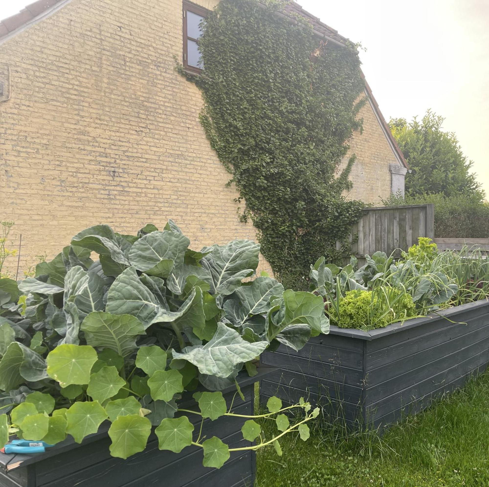jygge- hyggelige Ferienwohnung Nordborg Kommune Exterior foto